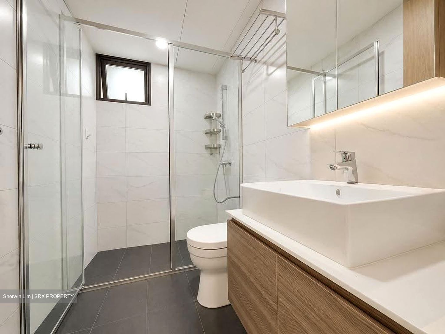 Treasure Crest (D19), Condominium #615851571